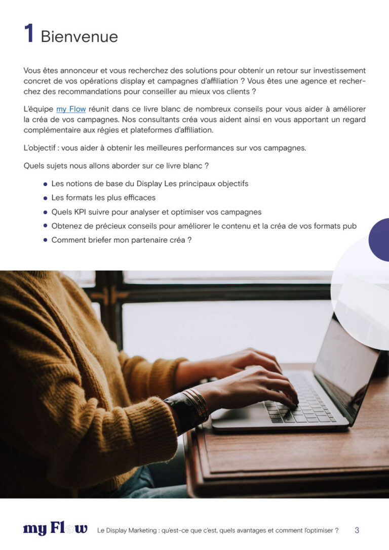 Decouvrez-les-meilleurs-conseils-creatifs-pour-vos-campagnes-display-extrait-1