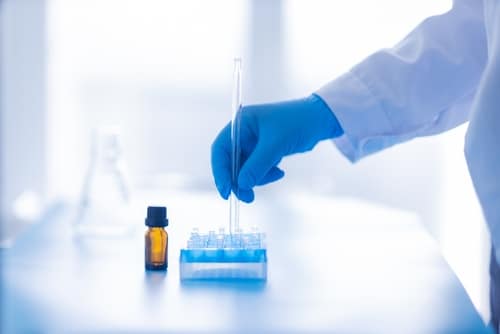 équipe analysant des rapports scientifiques pour assurer une traduction précise et conforme